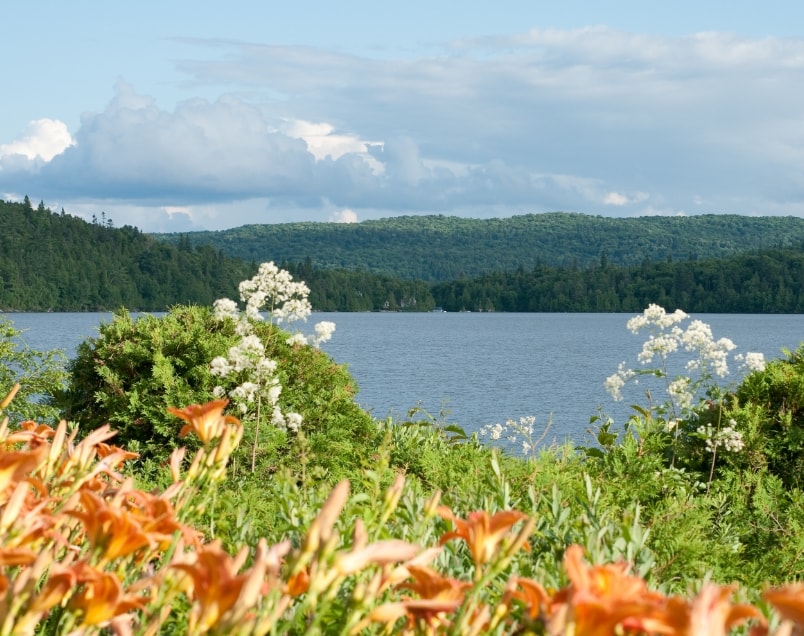 Laurentides